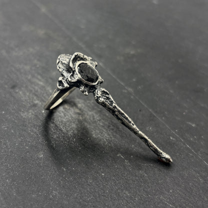 CHIMERA ring
