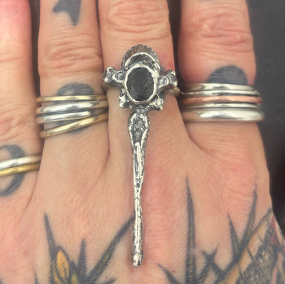 CHIMERA ring