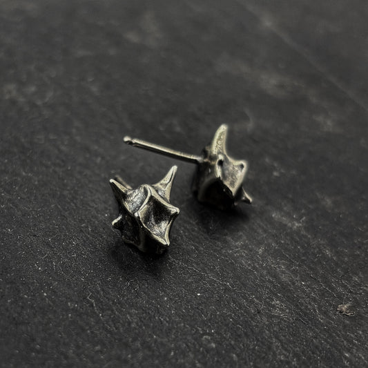 CAPRA earrings