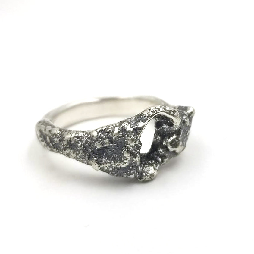 Karst ring